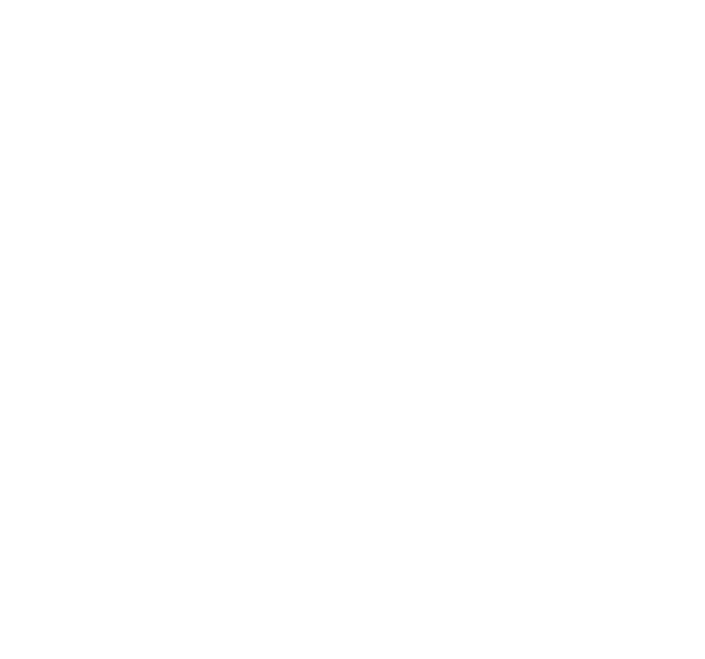 Stamford Best Plumbing Logo